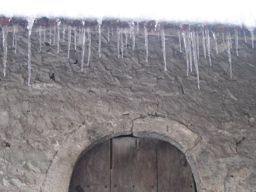 mosuri na Ple�a�ovoj ku�i...