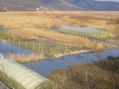 poplavljeno zemlji�te ispod grada