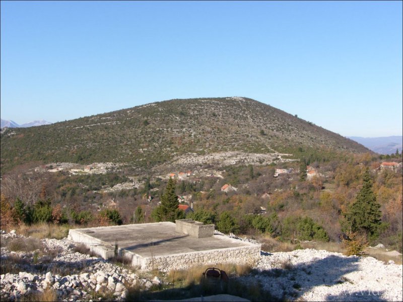 (01)