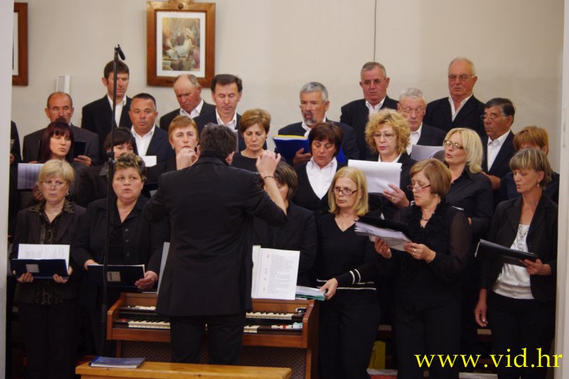 (19)
