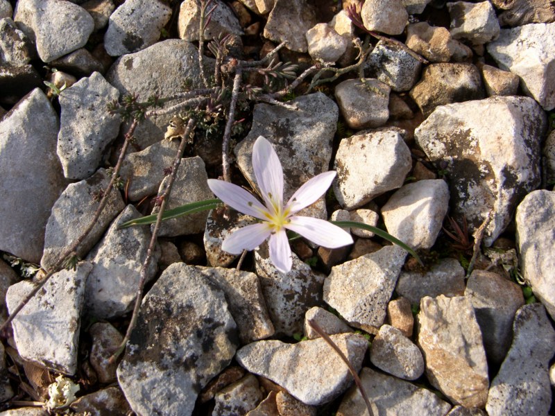 (09)