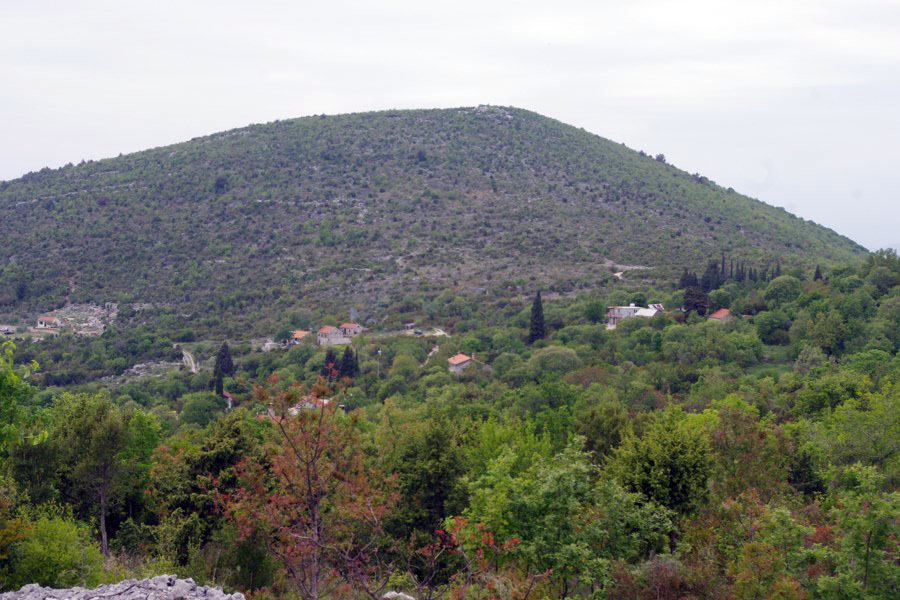 (1)