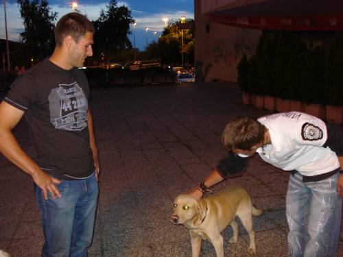 trener na�ih la�ara i njegov Badi